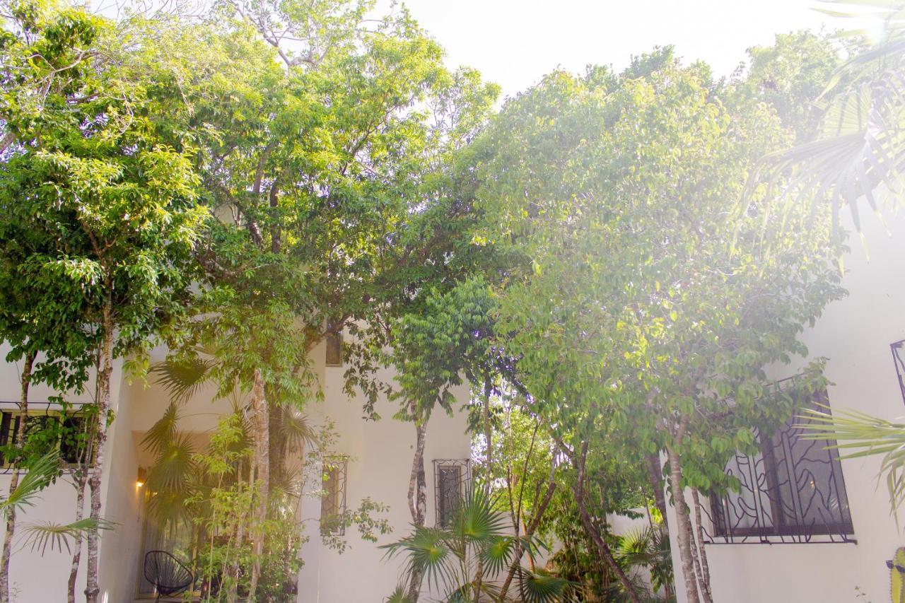 Buena Onda Residence トゥルム エクステリア 写真
